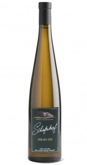 Schieferkopf & M. Chapoutier Lieu-dit Fels 2022